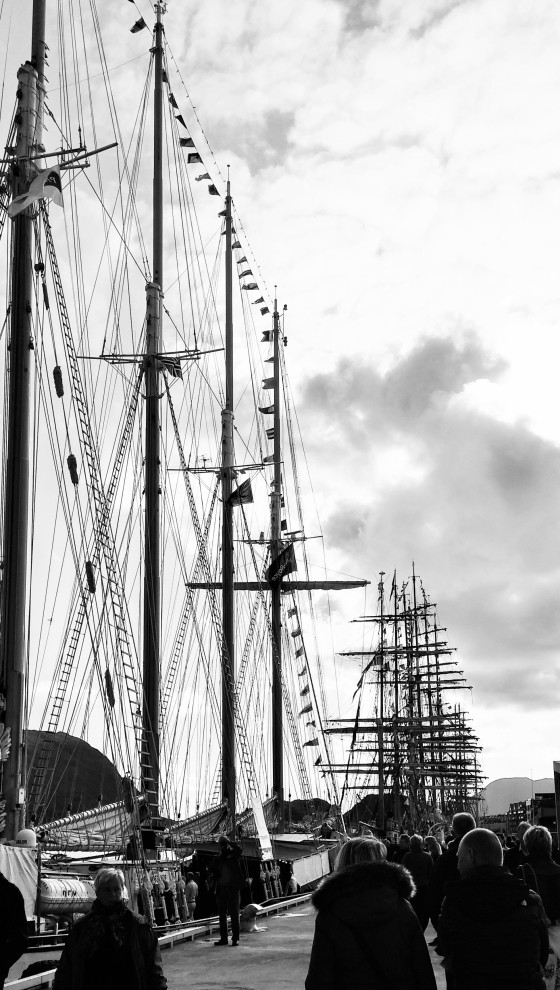 tall ship races Ålesund 2015